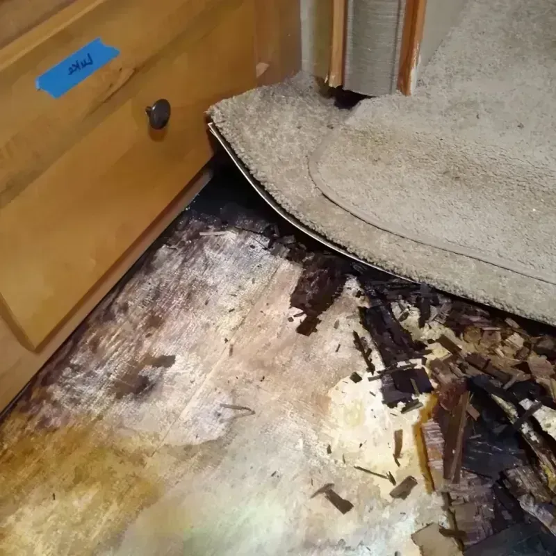 Best Wood Floor Water Damage Service in Litchfield, MN